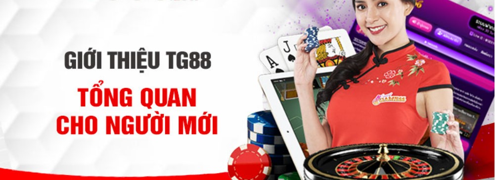 Tg88 nhà cái uy tín hàng đầu